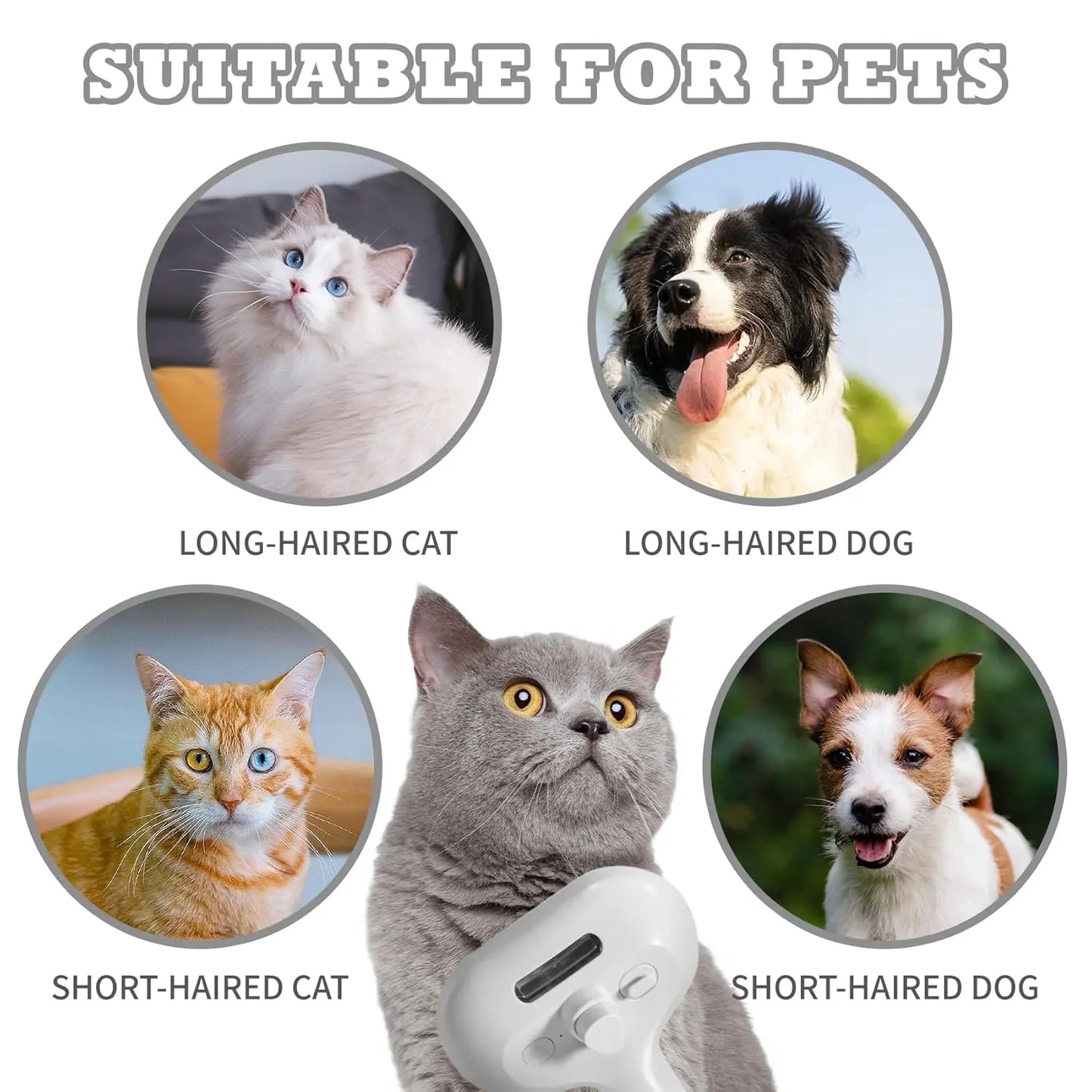 🐾 Pet Steamer Brush 🐾 FamSphere