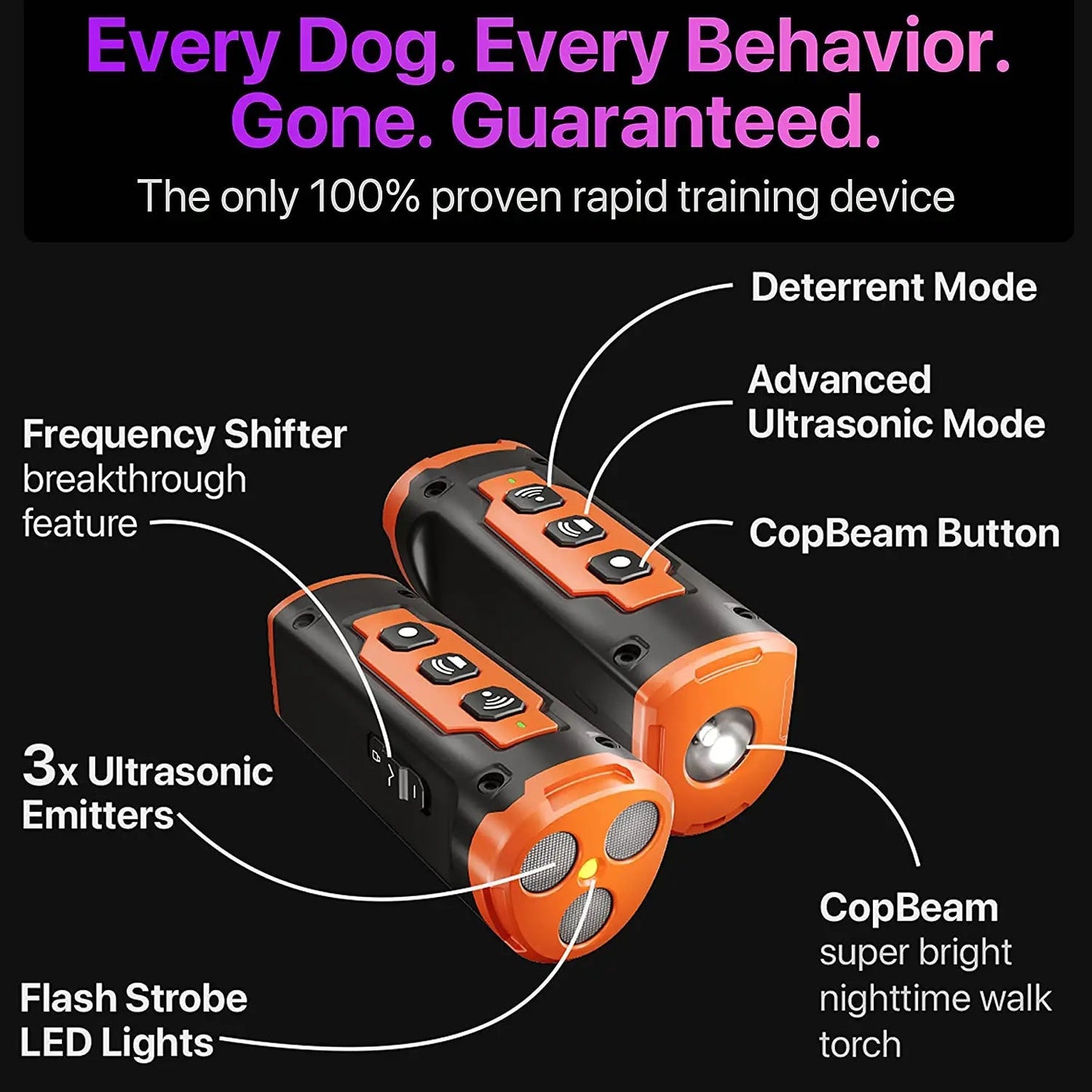 Sonic Pet Behavior Trainer FamSphere