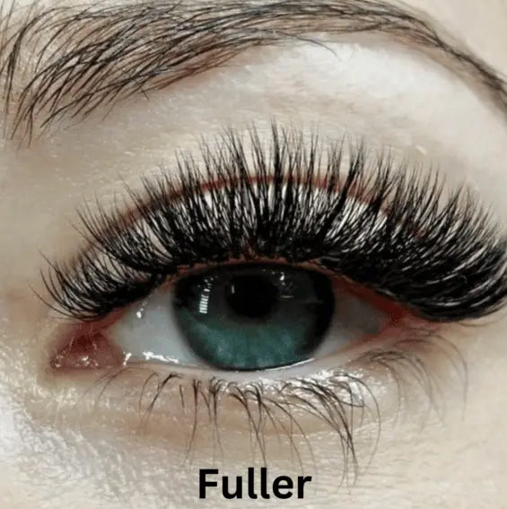 Famsphere™ Magnetic Eyelashes with Applicator FamSphere