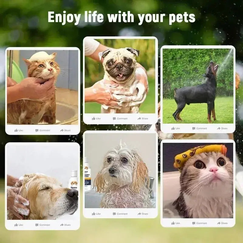Gentle Pet Fur Care Duo FamSphere