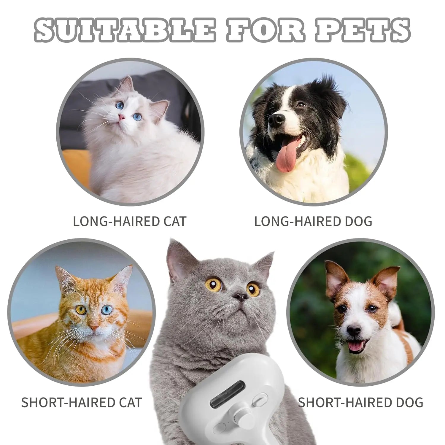 🐾 Pet Steamer Brush 🐾 FamSphere