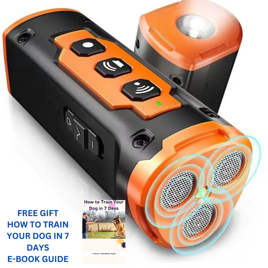 Sonic Pet Behavior Trainer FamSphere