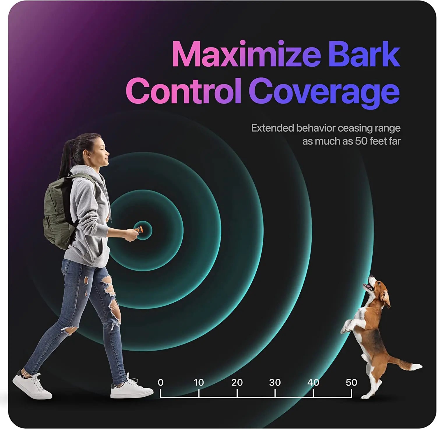 Sonic Pet Behavior Trainer FamSphere