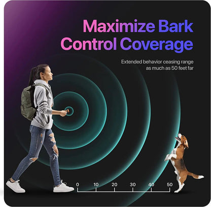 Sonic Pet Behavior Trainer FamSphere