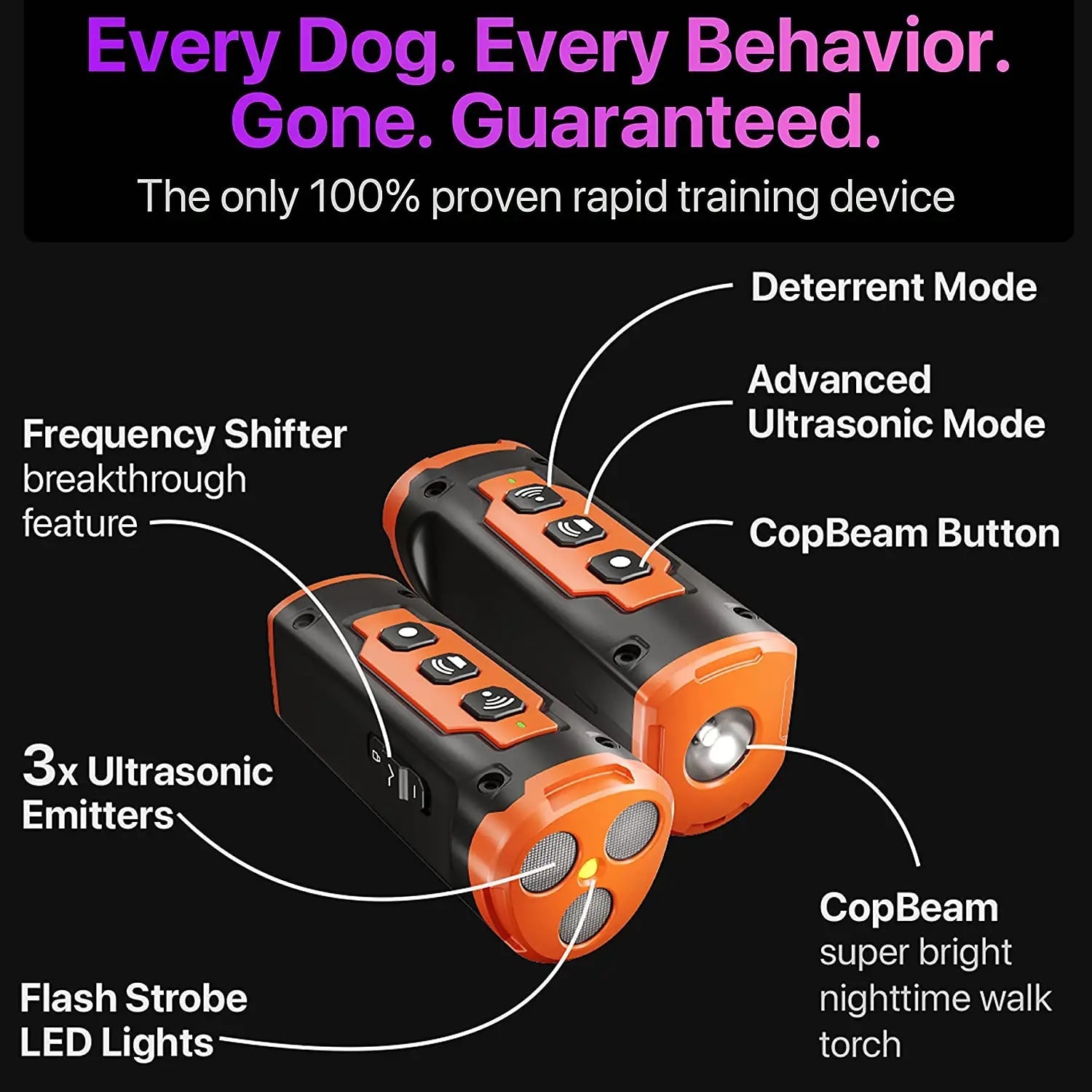 Sonic Pet Behavior Trainer FamSphere