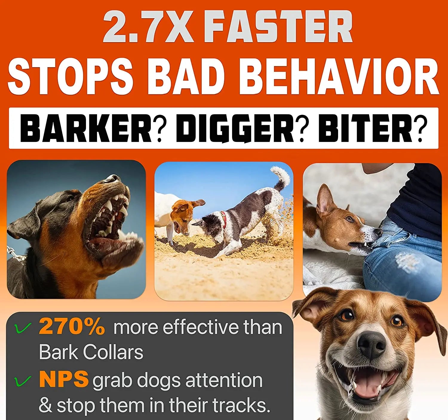 Sonic Pet Behavior Trainer FamSphere