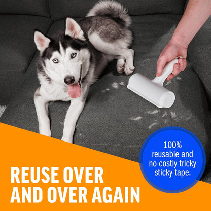 Pet Hair Remover For Furniture FamSphere